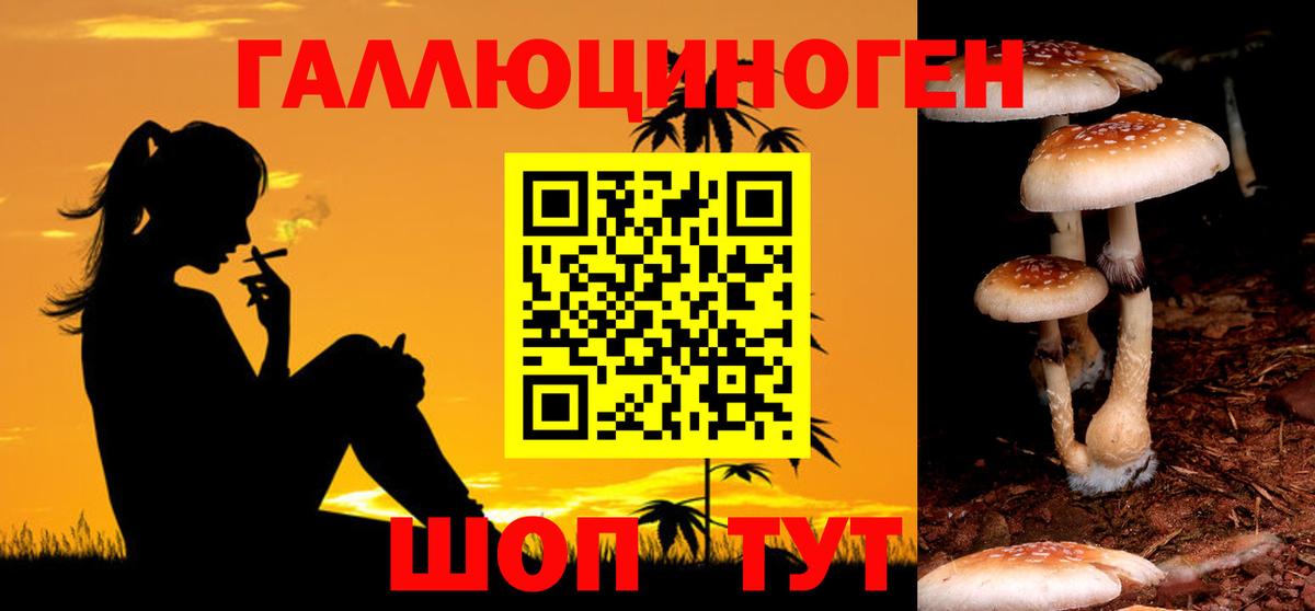 Галлюциногенные грибы прущие грибы Урай